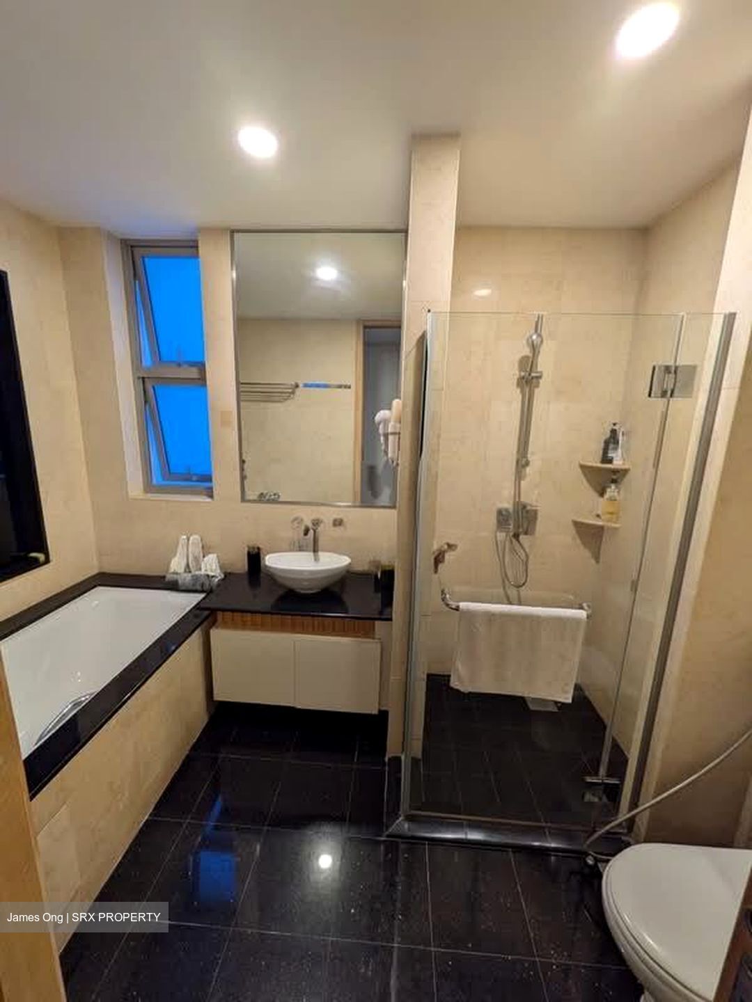 Cairnhill Crest (D9), Condominium #586144301